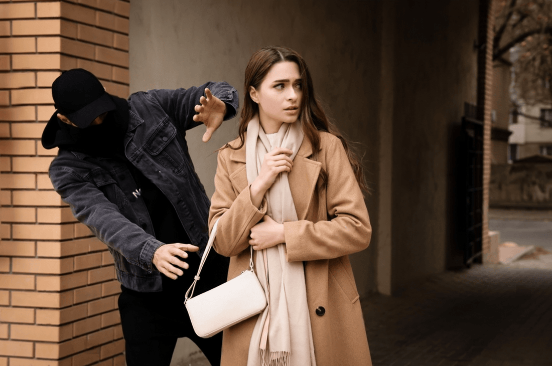 homme vole une femme dans la rue